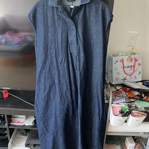 COS Demin Dress